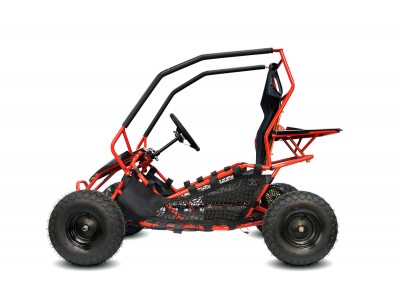 Electric Kids Buggies GoKid Racer 1000W 36V Go Kart Kids